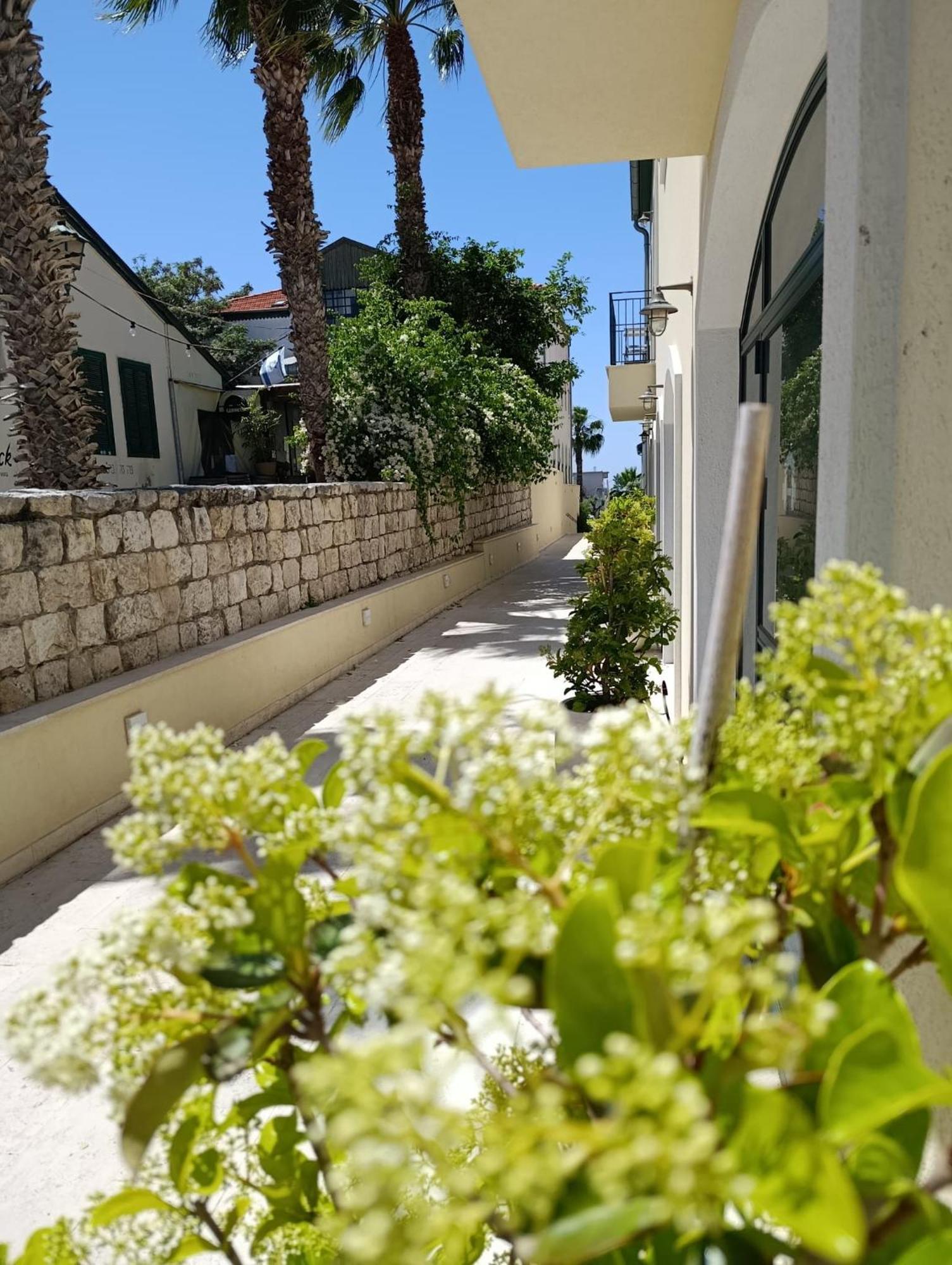 beija flor Zikhron Ya'akov Quarto foto