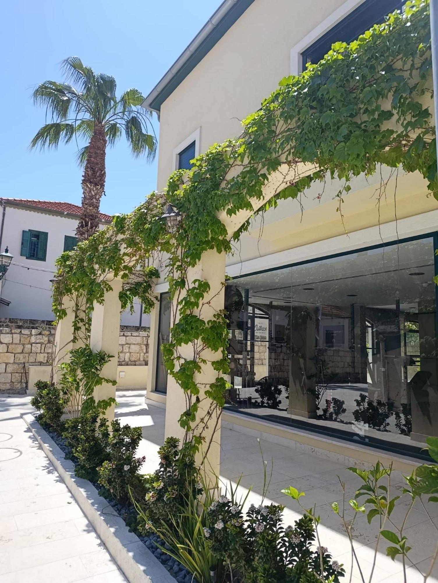 beija flor Zikhron Ya'akov Quarto foto